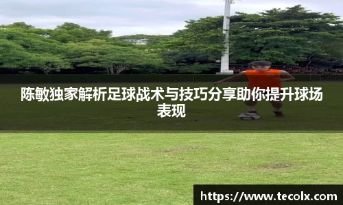 陈敏独家解析足球战术与技巧分享助你提升球场表现