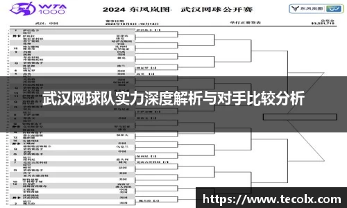 武汉网球队实力深度解析与对手比较分析